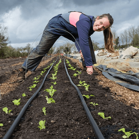 Veg Box, CSA & Farm software built for local food