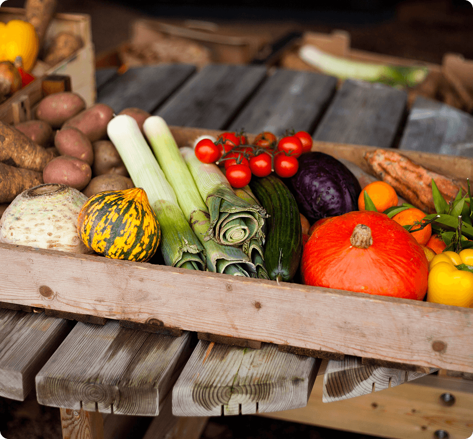 Bristol Veg Boxes
