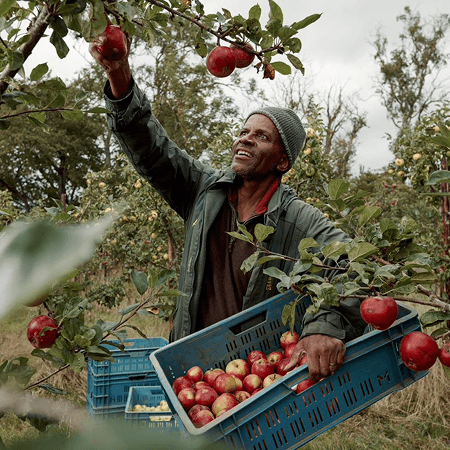 Veg Box, CSA & Farm software built for local food
