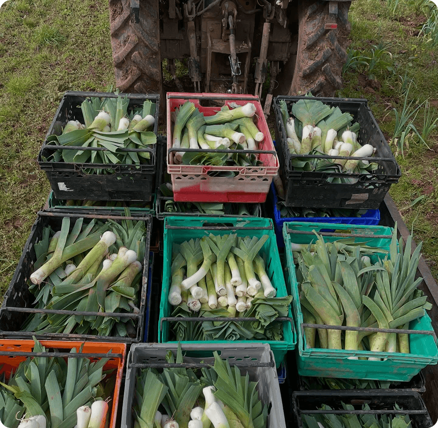 Radford Mill Farm